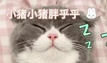 稳居C位的沙雕文案