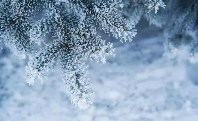 15，大雪季，所有隐藏的东西。生物营养，早睡。收敛，无冬季干燥。各种温差，适当的运动。风很大，请不要外出。饮食护士，喝更多的热汤。强壮而强烈，祝你健康。