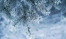 有关大雪节气唯美句子