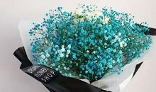 平安夜幽默说说