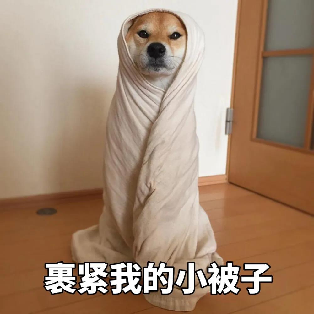 12，寒冷，照顾好自己，我不能借你的夹克，我不能给你拥抱！