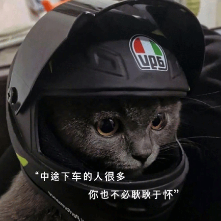 15，爱只是剩下的最后一个。