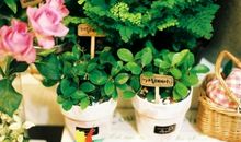 深夜发朋友圈的很丧的句子