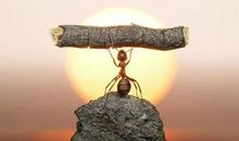 pk销售口号大全