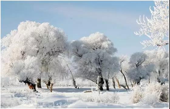 美丽的雪的诗歌
