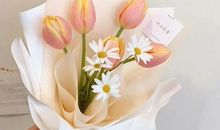 早安文案干净走心短句