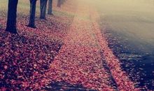 开心烦恼仇恨的句子