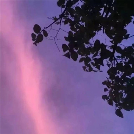 香烟的句子