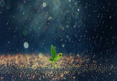 雨生气句子