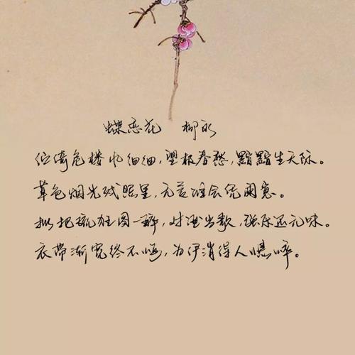描述真爱的节目