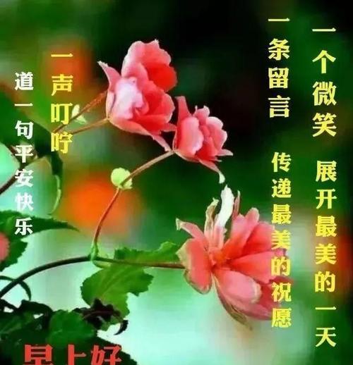 最受欢迎的早晨