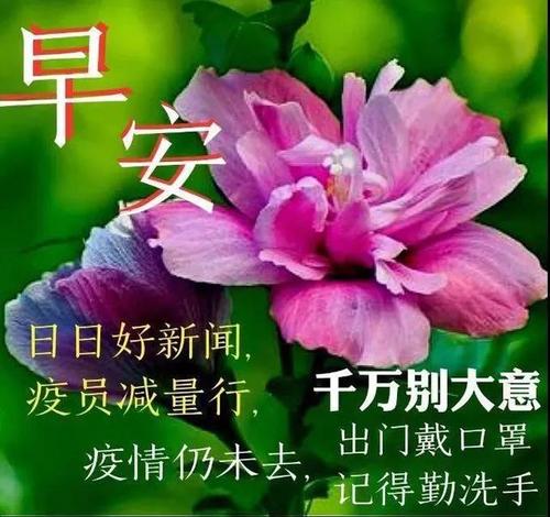 早上好，谈谈它，听大全