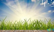 高情商早安问候语大全