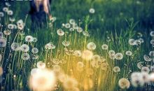 能让男人开心的句子