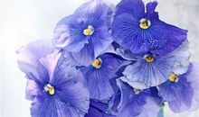 心烦没睡好的说说句子