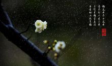 形容事多心烦的句子