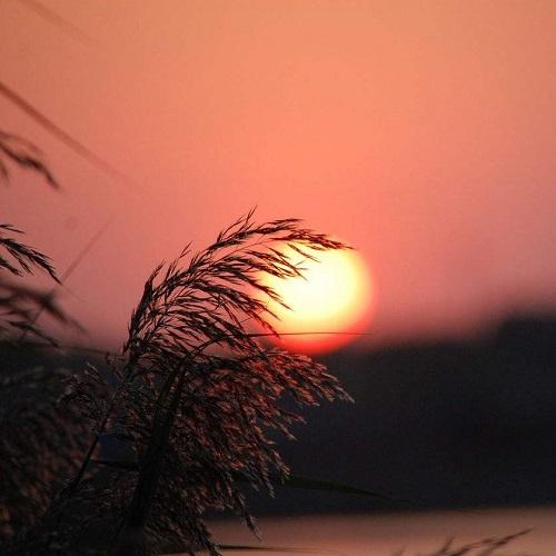 夜间心烦意乱1