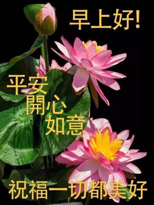 早上问候短句