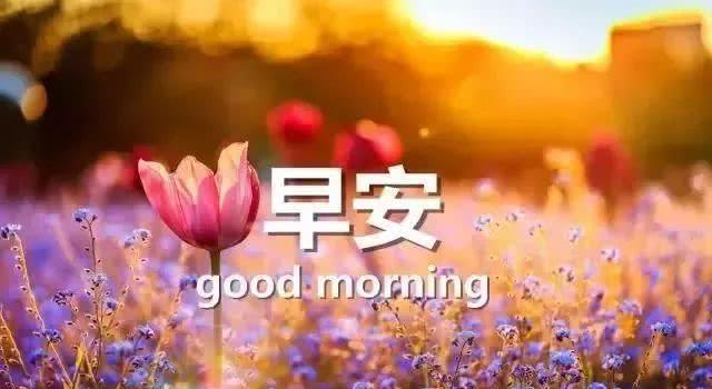12月，早上，发圈