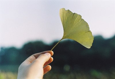 15.上帝被称为黑暗的黑暗中的心脏。