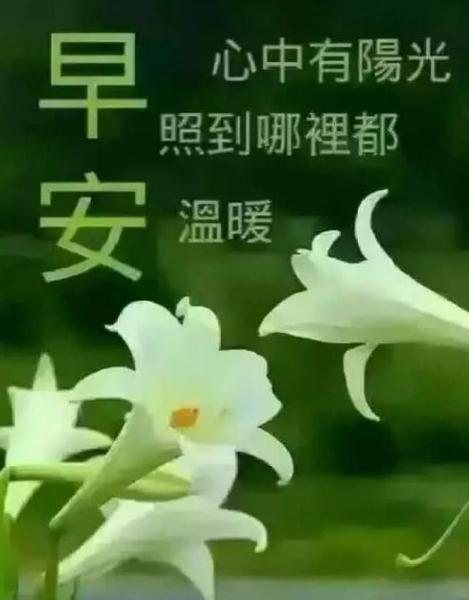 2021好的早晨空间