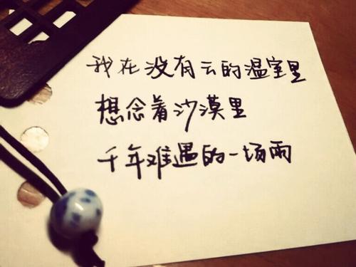 写作的五个字