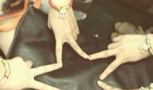 关于友情依旧的句子