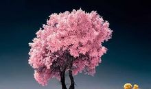 适合深夜对自己说的句子