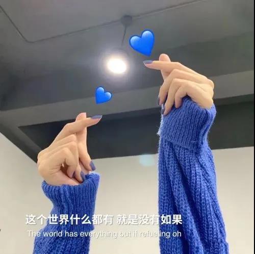 了解高度赞扬