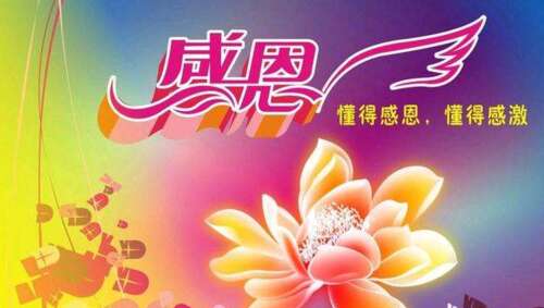 感激句子100字