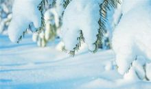 关于下雪很开心的句子