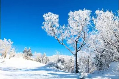 把雪放在友谊中1