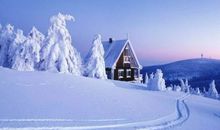 把雪比喻成友情的句子