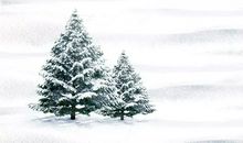 适合小雪发的句子