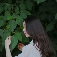 紧急句子1