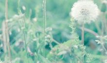 描写心烦却不知怎么办的句子