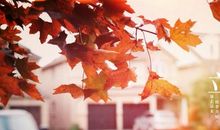 心烦的经典句子说说心情