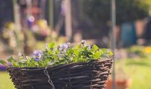 最暖开心的句子