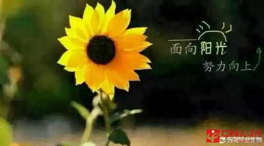 一个非常幸福的句子1将每个人一起描述1