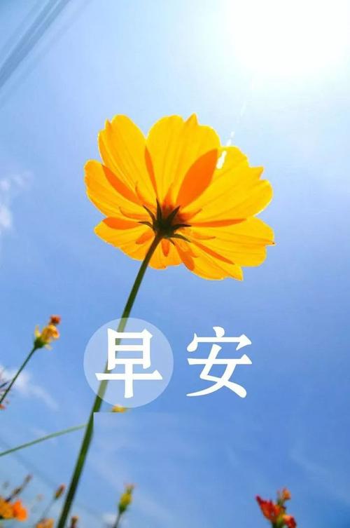 15，我相信我将永远支持你。