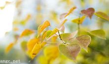 爱情个性的开心句子