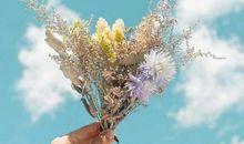 有关表达开心快乐的句子