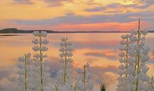 富有诗意的短句