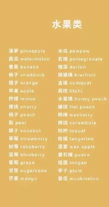英语单词大全