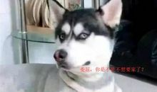 关于友情英文加翻译的句子