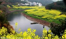 送友人关于友情的经典句子