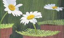 心烦看到孩子们就开心的句子