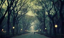 心烦不好的句子