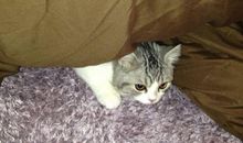 致伤感友情的说说句子