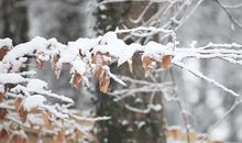 大寒节气发朋友圈的说说
